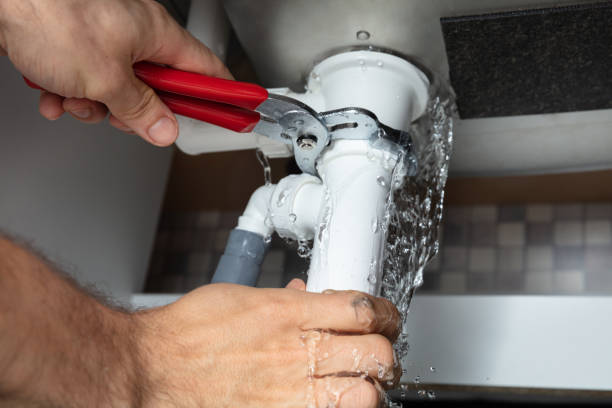 Best Water damage restoration mold remediation  in Richwood, OH