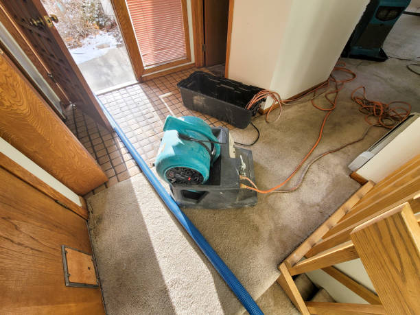 Best Flood restoration services  in Richwood, OH