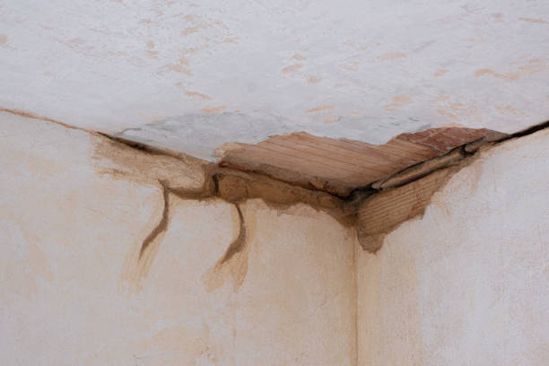 Best Residential water damage restoration  in Richwood, OH