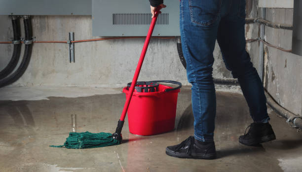 Best Residential water damage restoration  in Richwood, OH