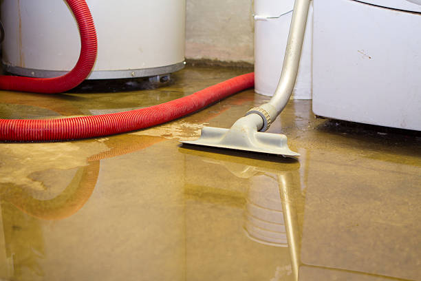 Best Water damage restoration near me  in Richwood, OH