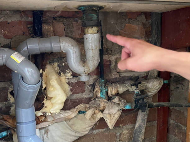 Best Carpet water damage restoration  in Richwood, OH
