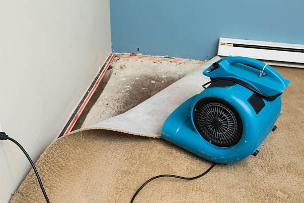 Best Ceiling water damage repair  in Richwood, OH